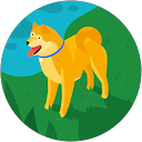 Marko K. profile picture